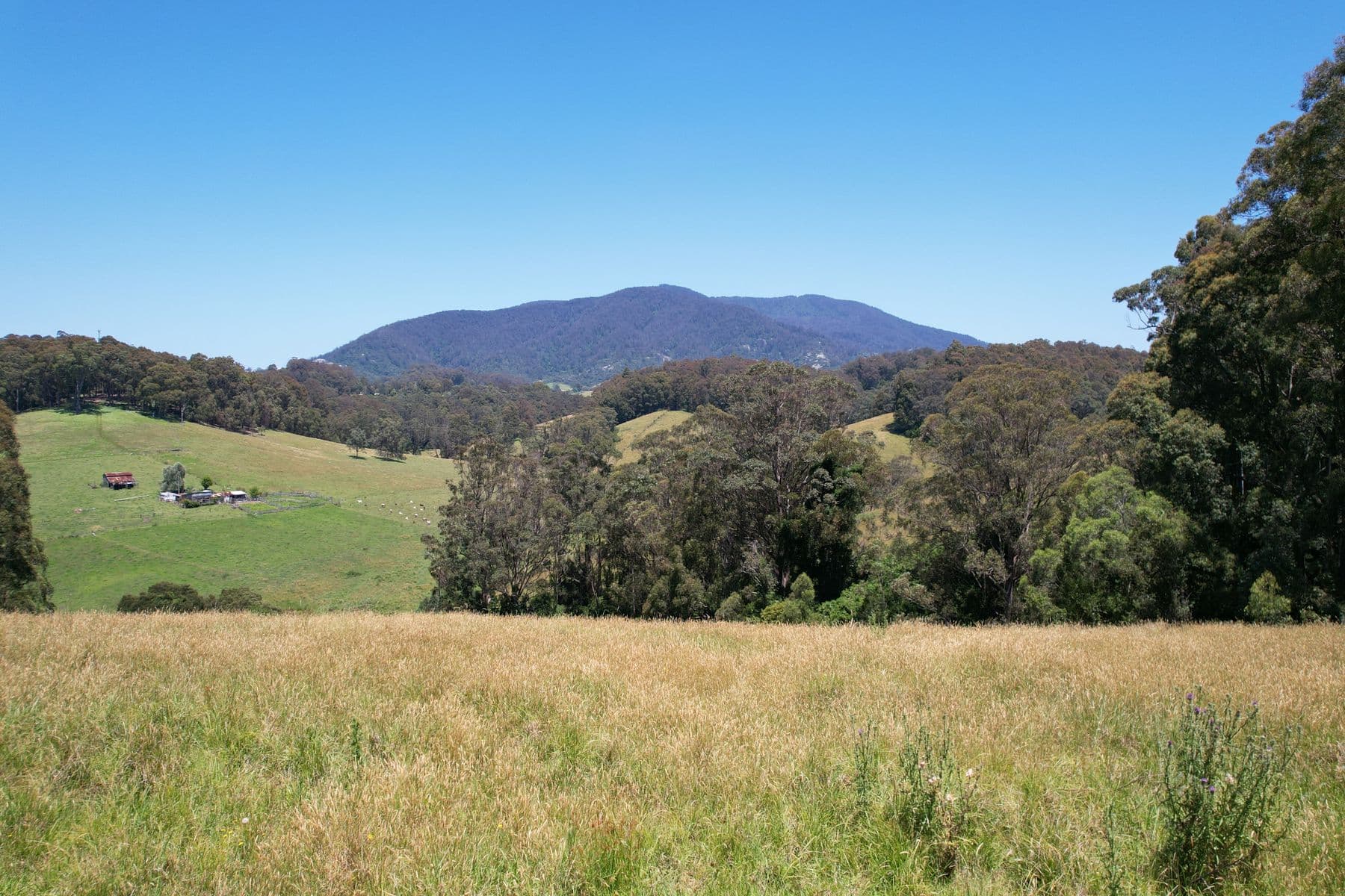 984 Old Highway, Narooma, Narooma - Thumbnail 3