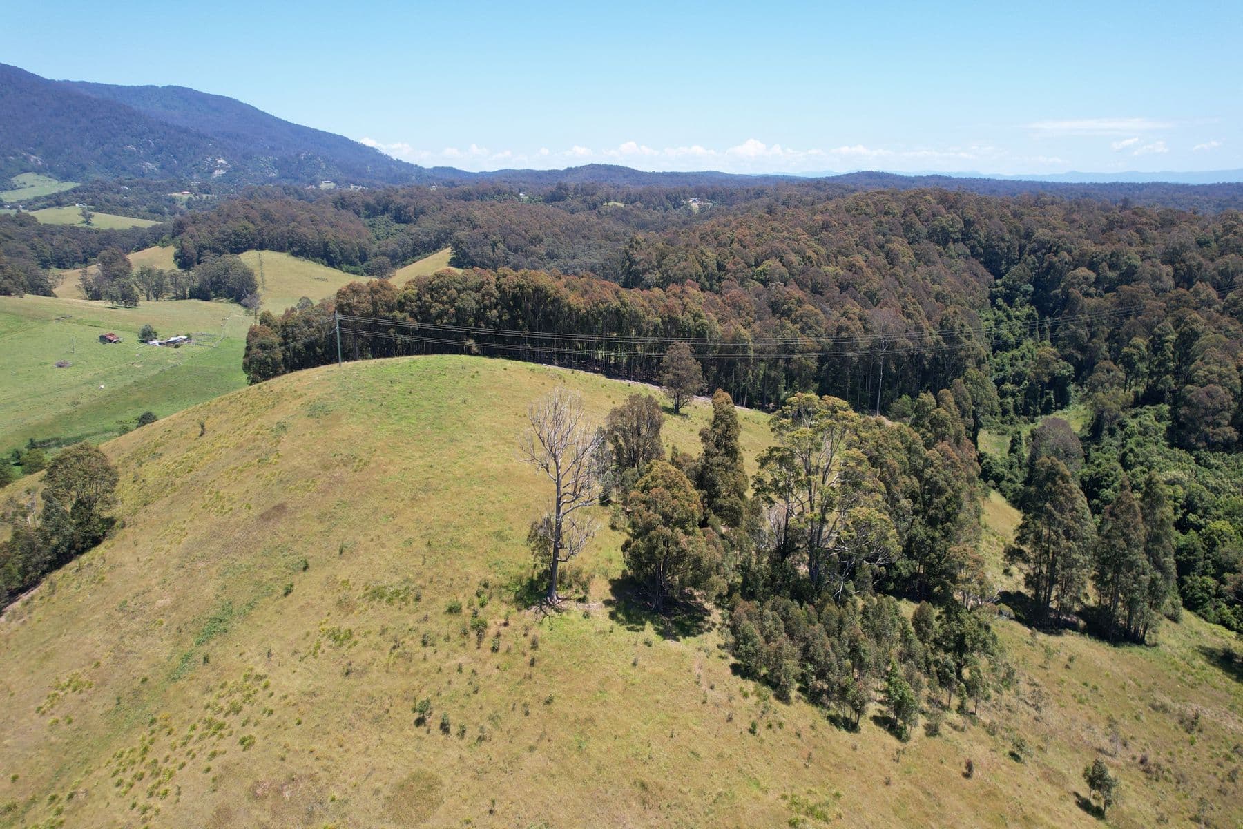 984 Old Highway, Narooma, Narooma - Thumbnail 6