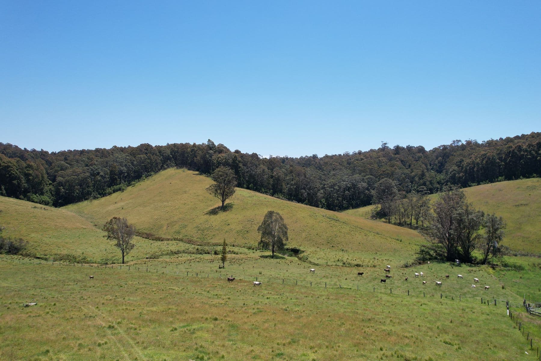 984 Old Highway, Narooma, Narooma - Thumbnail 7