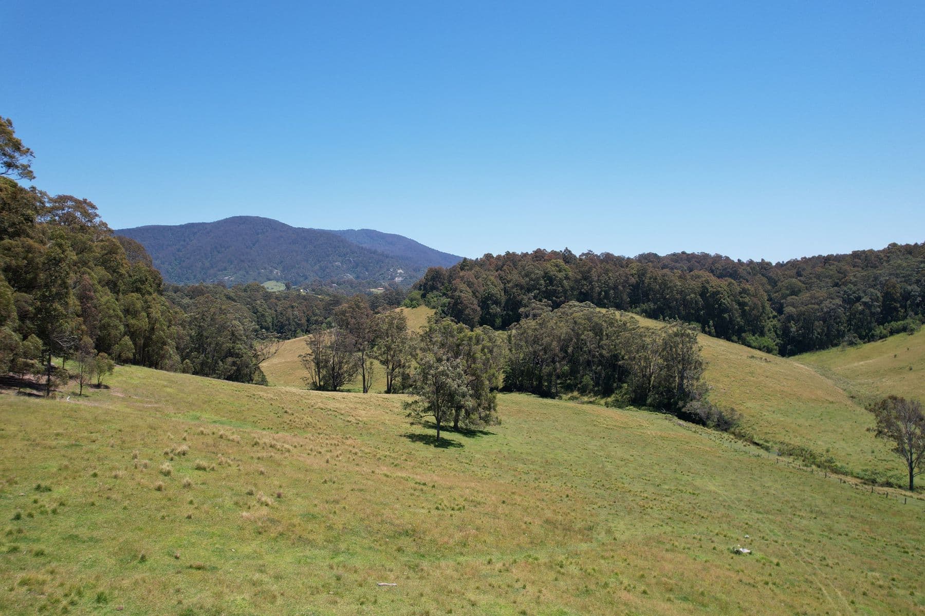 984 Old Highway, Narooma, Narooma - Thumbnail 8