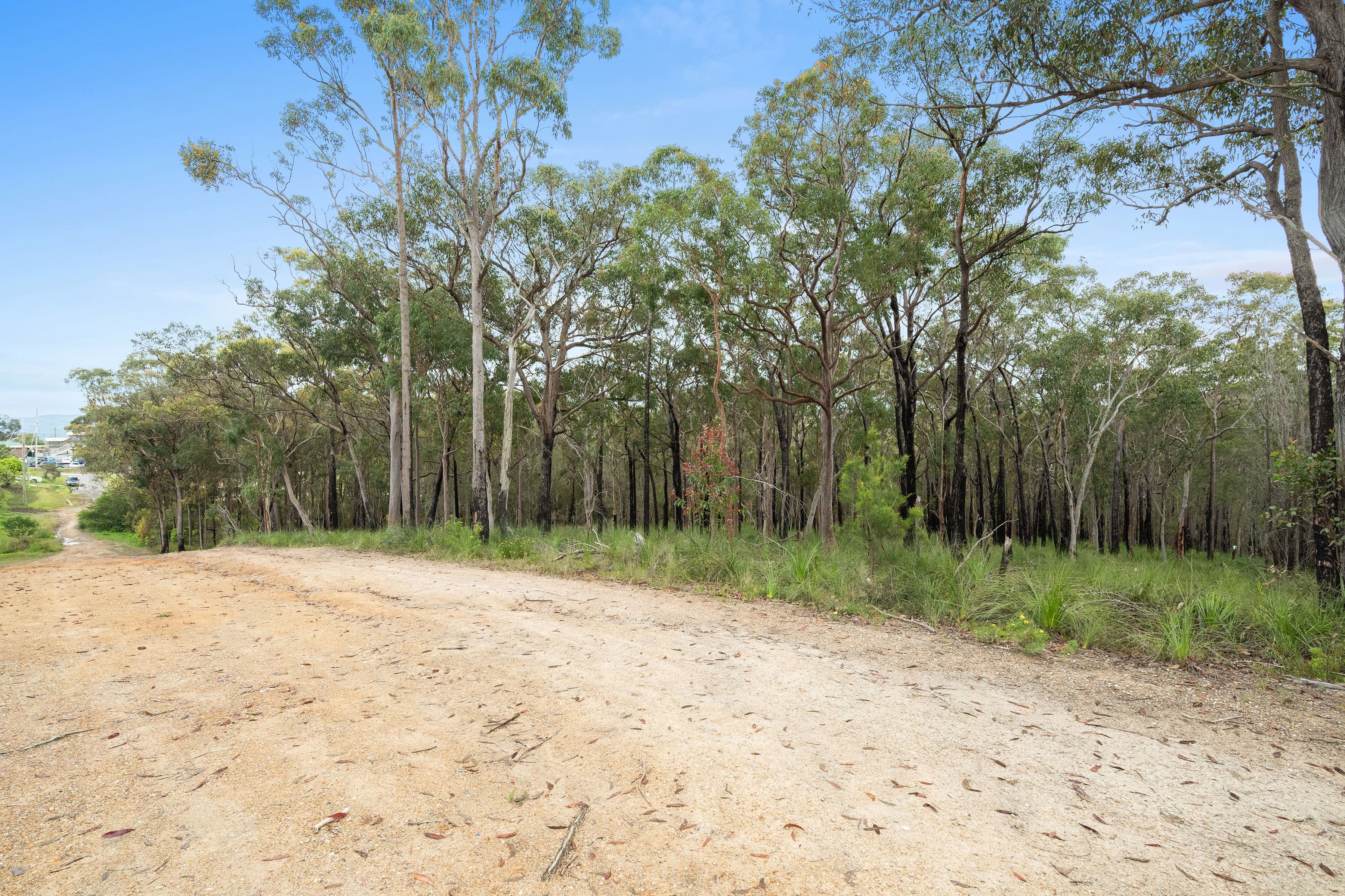 15 Rivergum Drive, Morisset NSW 2264, Morisset - Thumbnail 7