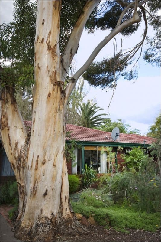 1 Booligal Street, LESMURDIE WA 6076, Lesmurdie - Thumbnail 3