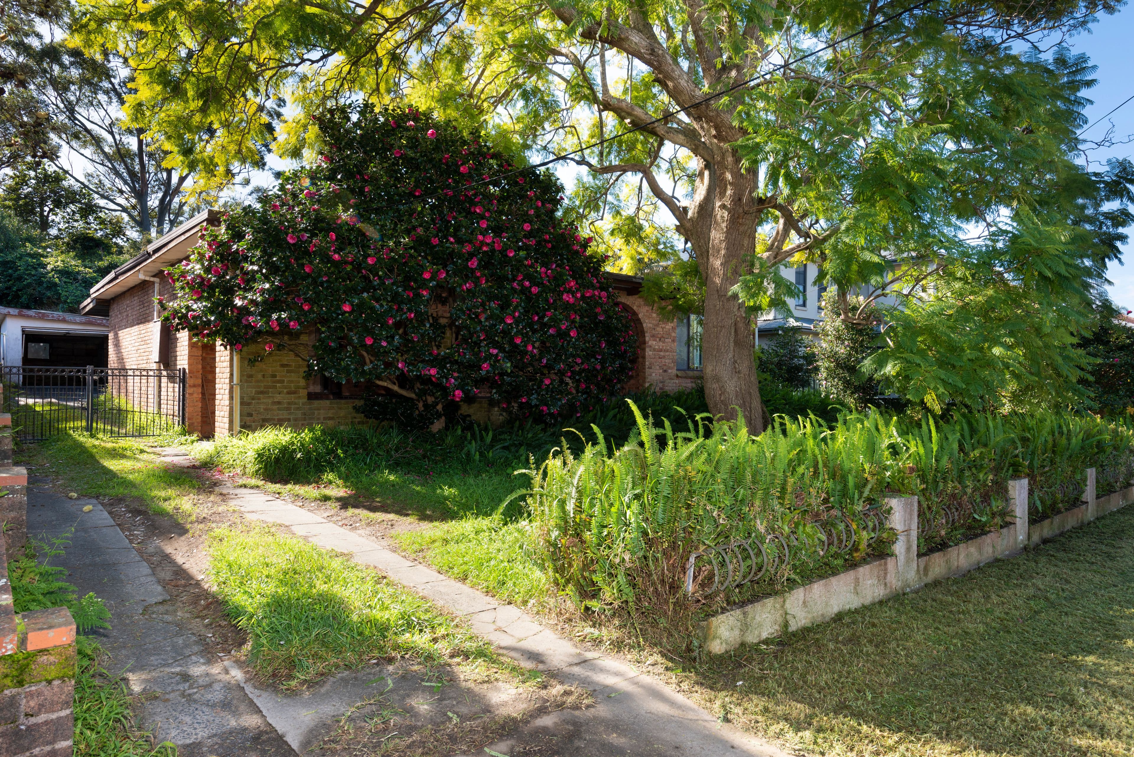 8 Cannons Parade, Forestville NSW 2087, Forestville - Thumbnail 4