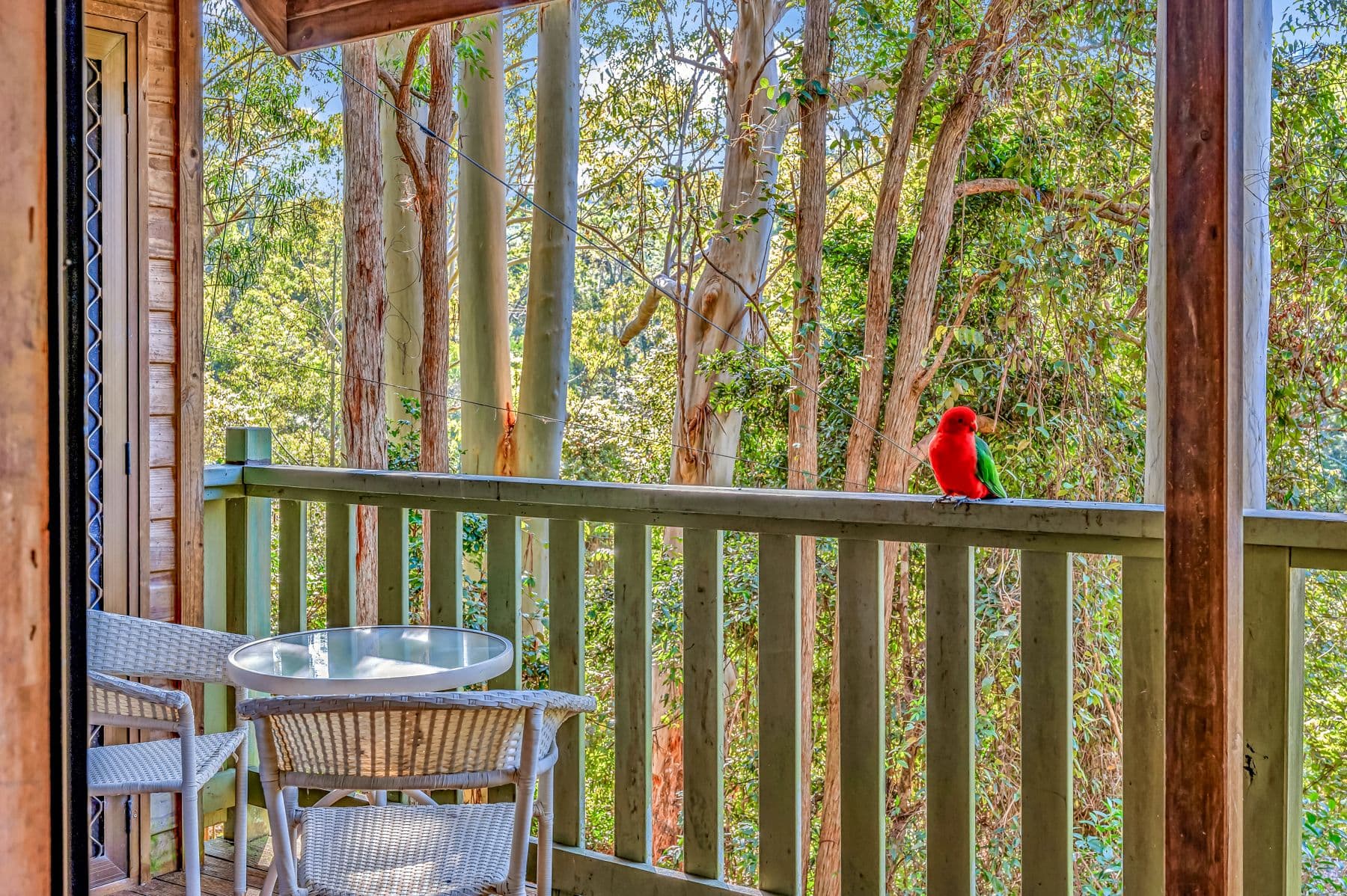 Cabin 7/2940 Salisbury Road, Salisbury NSW 2420, Salisbury - Image 1