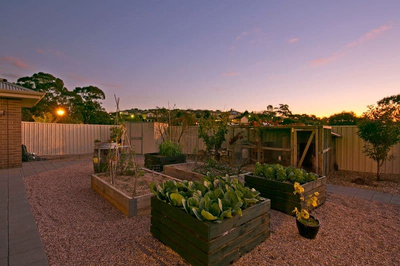 1 Classic Court, Golden Grove SA 5125, Golden Grove - Thumbnail 6