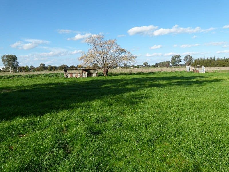 46 Ooma Street, FORBES NSW 2871, Forbes - Thumbnail 7