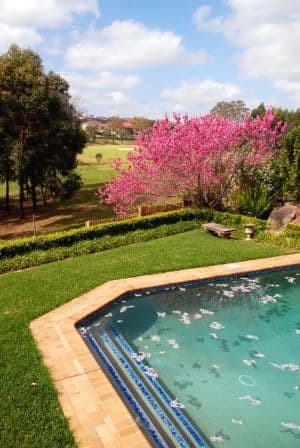 6 Gunyah Place, GLEN ALPINE NSW 2560, Glen Alpine - Thumbnail 3