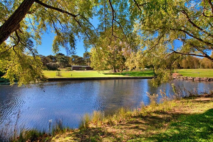 123 Darley Road, RANDWICK NSW 2031, Randwick - Thumbnail 4