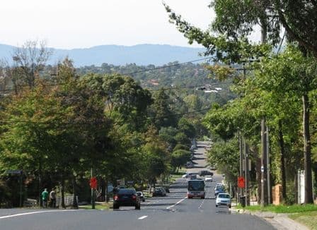 1189 Riversdale Road, BOX HILL SOUTH VIC 3128, Box Hill South - Thumbnail 2