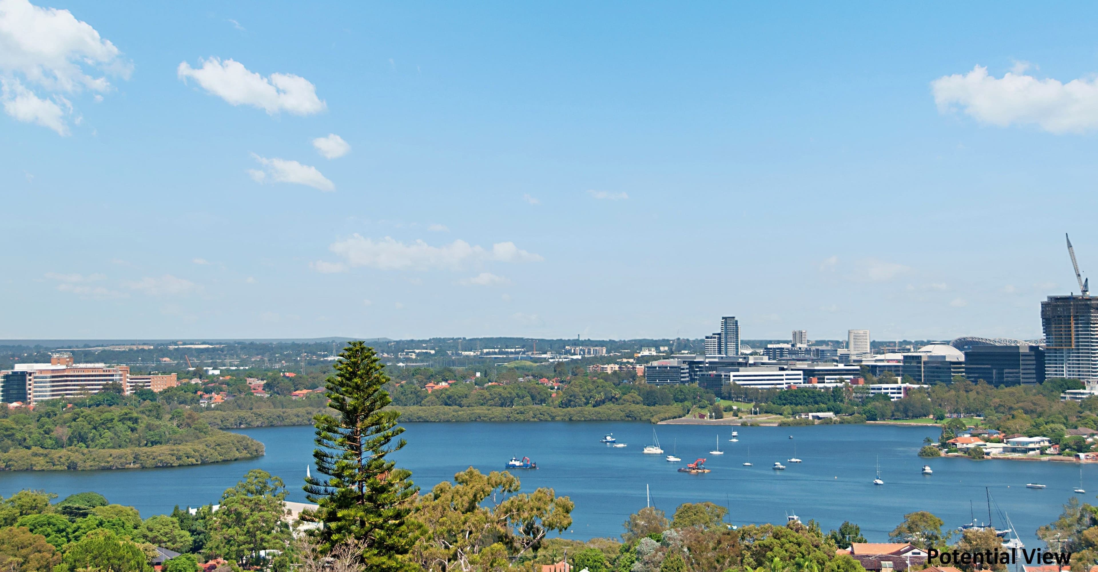 300 Morrison Road, Putney - Thumbnail 3