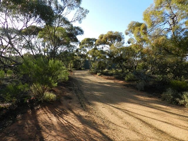209 Bassham Road, BARMERA SA 5345, Barmera - Thumbnail 4