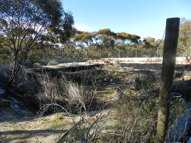 209 Bassham Road, BARMERA SA 5345, Barmera - Thumbnail 6
