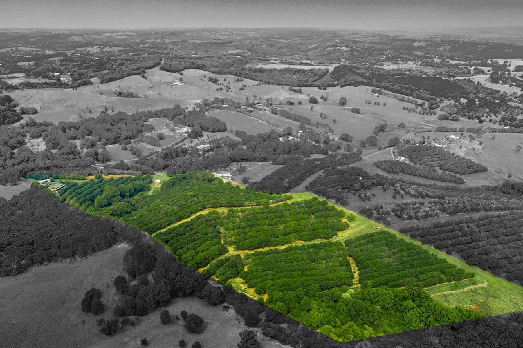 552 Houghlahans Creek Rd, Pearces Creek - Thumbnail 5
