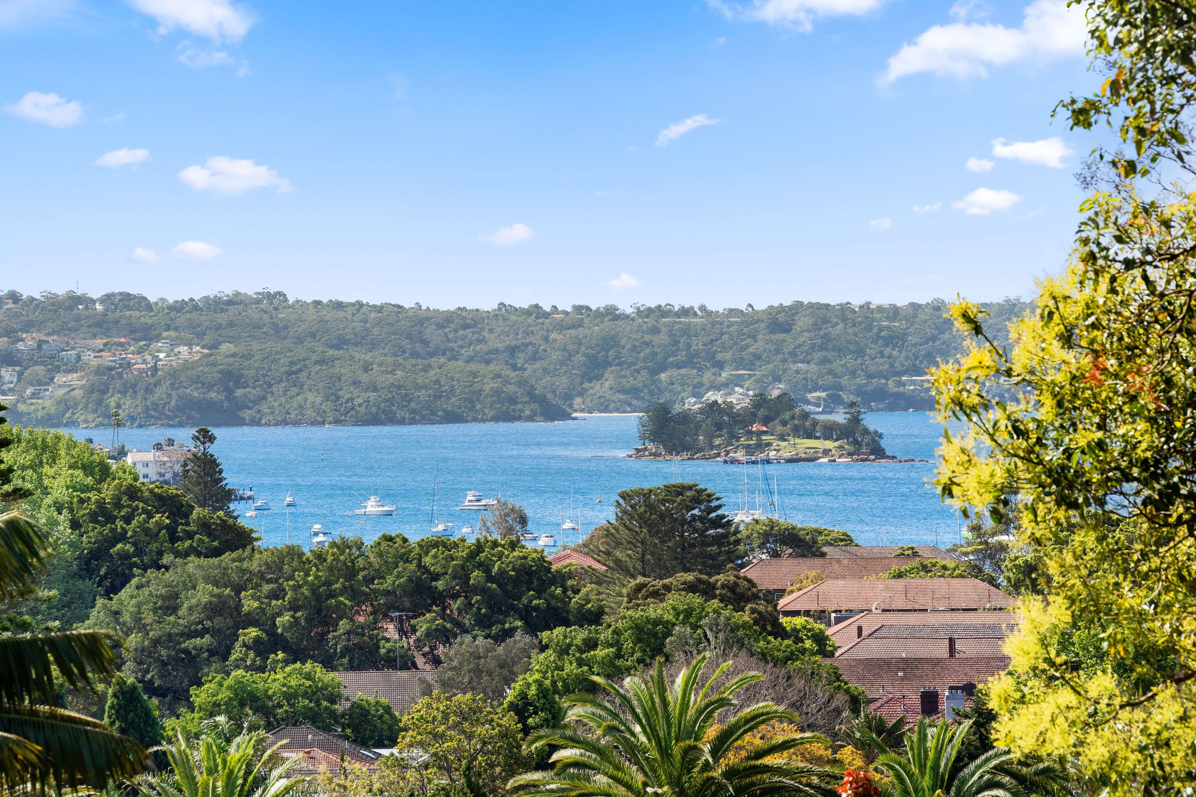 95 Balfour Road, Bellevue Hill NSW 2023, Bellevue Hill - Thumbnail 2