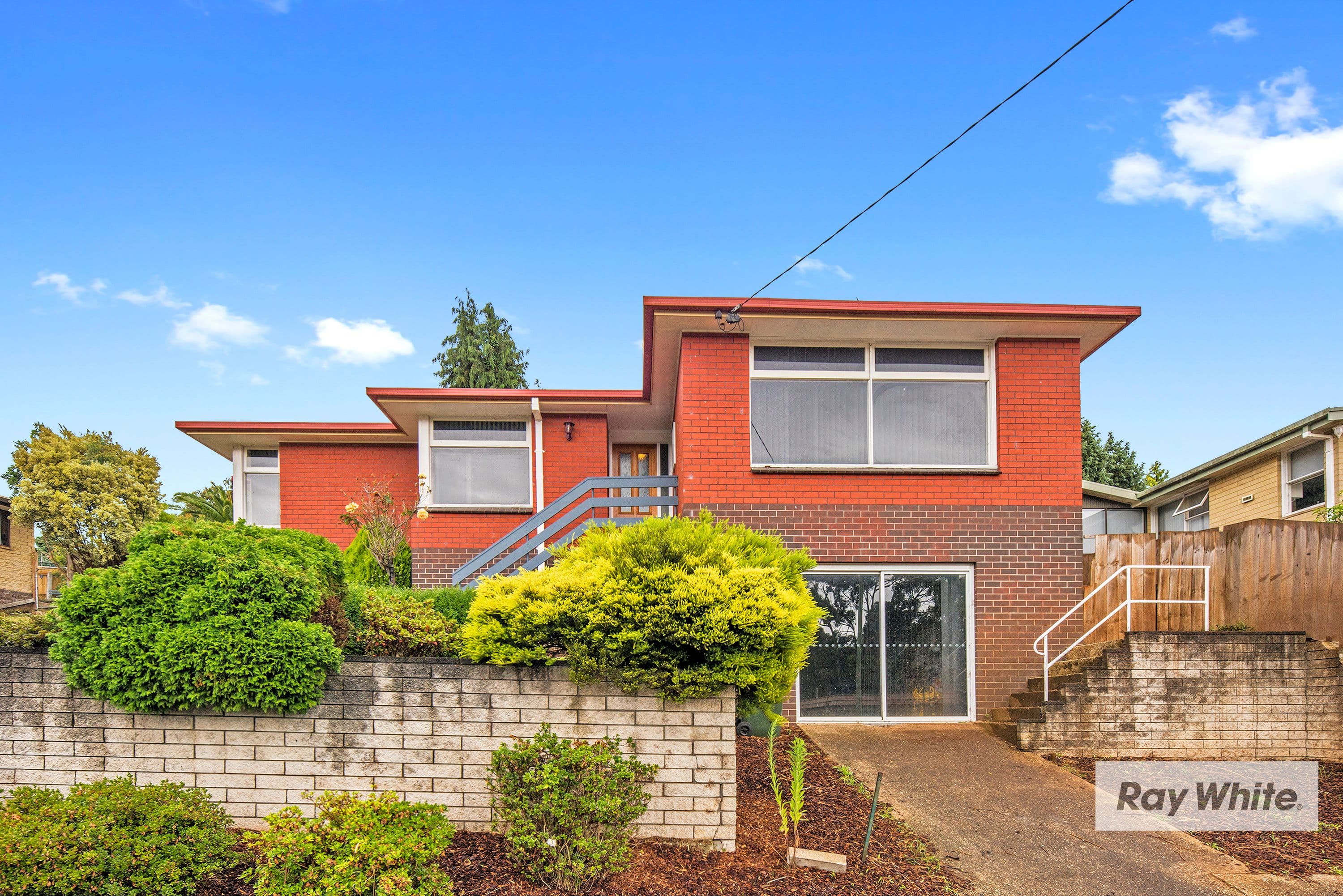 Romaine TAS 7320, Romaine - Thumbnail 2