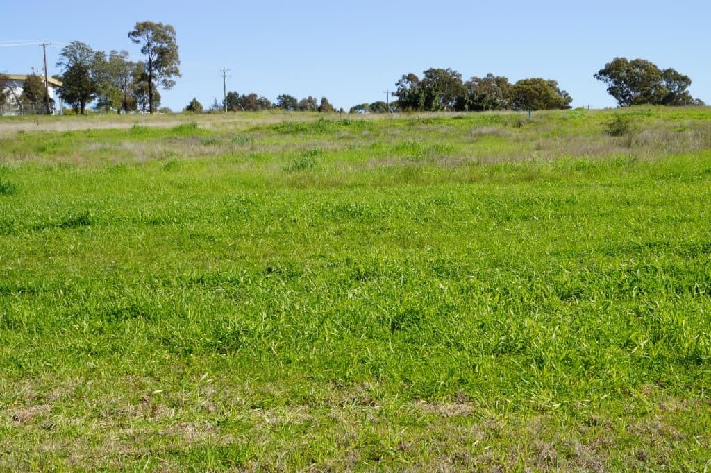 99 Linda Drive, Dubbo NSW 2830, Dubbo - Image 1