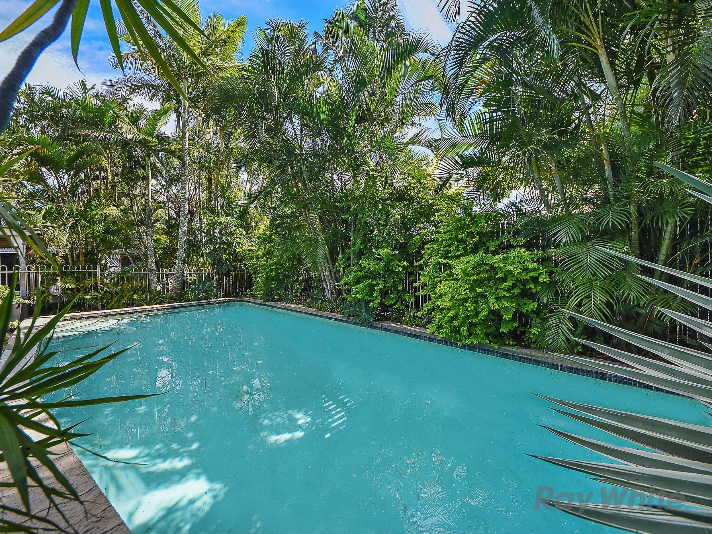 98 Norris Road, Bracken Ridge QLD 4017, Bracken Ridge - Thumbnail 2