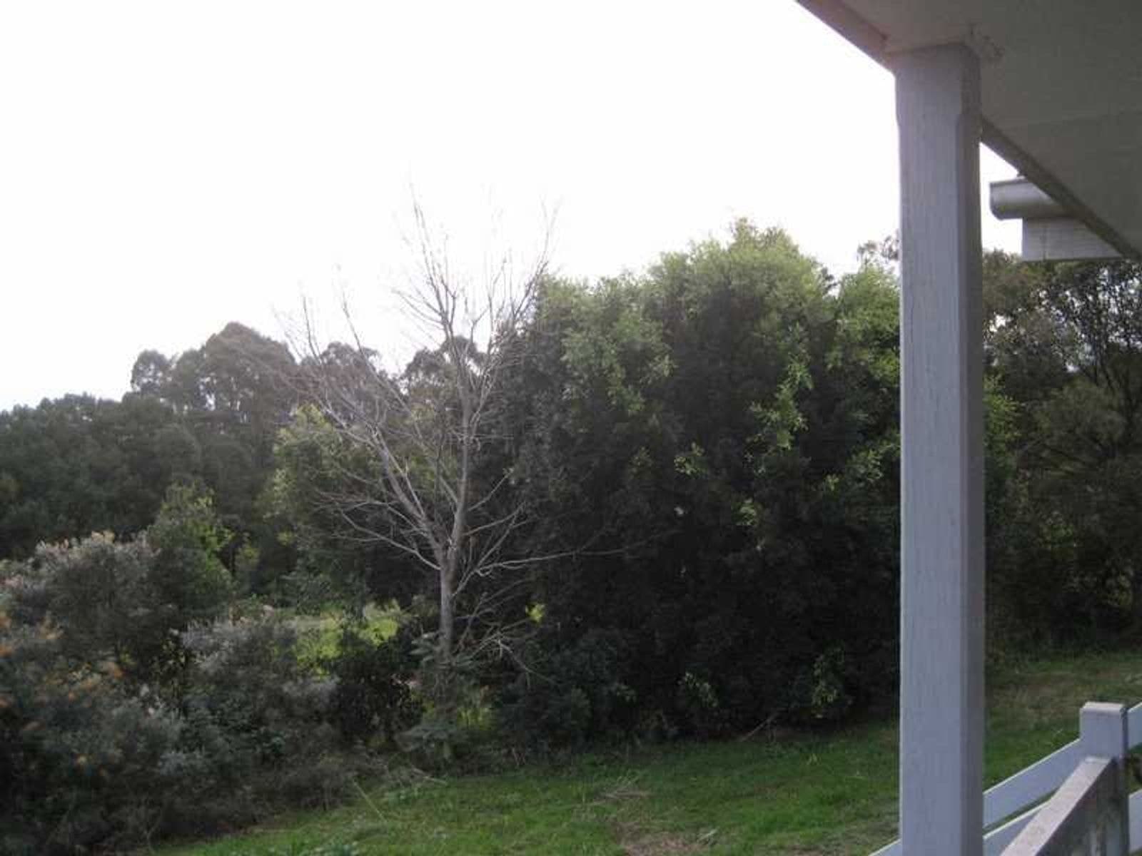 53 McKenzie Street, Lismore - Thumbnail 7