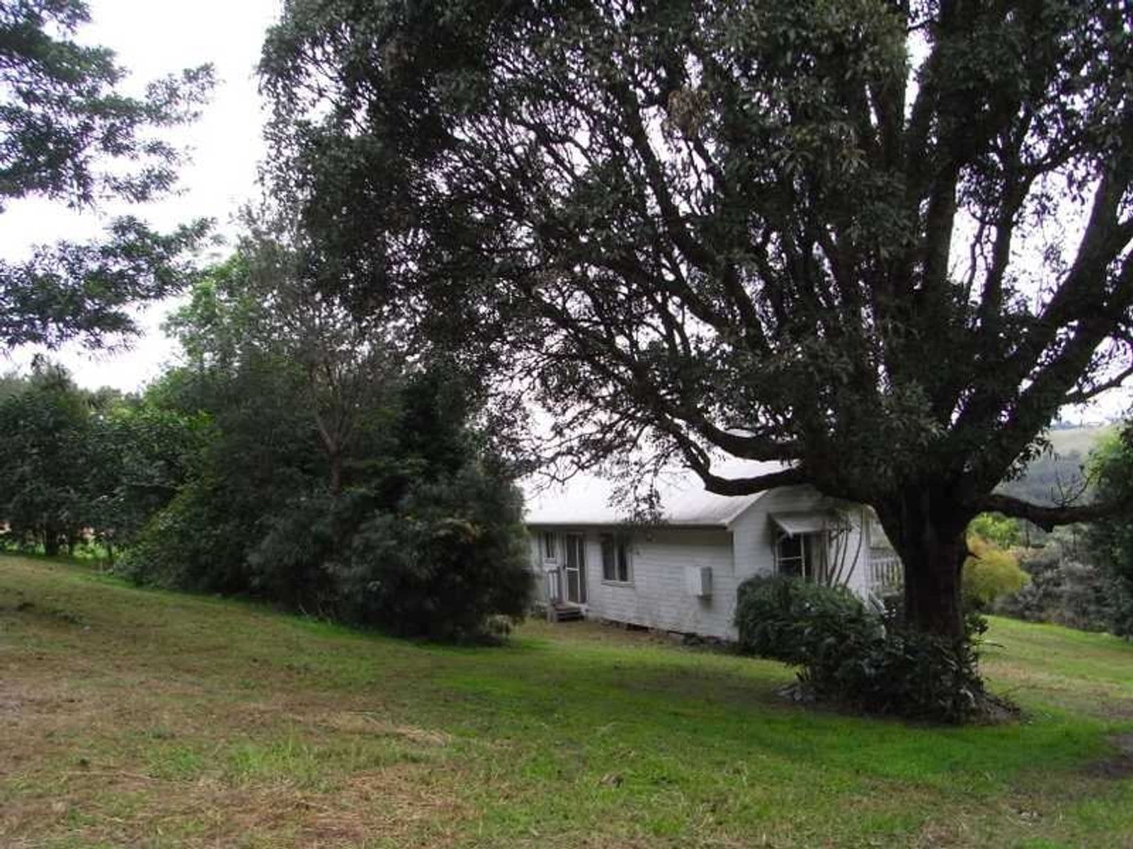 53 McKenzie Street, Lismore - Thumbnail 8