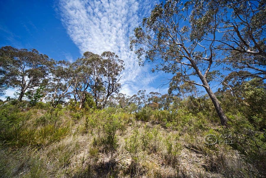 59 Delmonte Avenue, MEDLOW BATH NSW 2780, Medlow Bath - Thumbnail 3