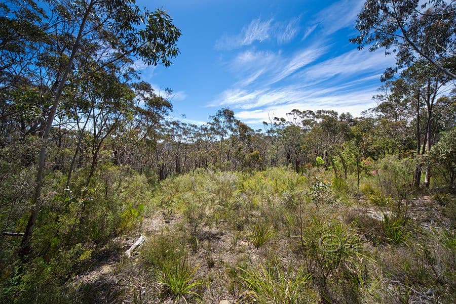 59 Delmonte Avenue, MEDLOW BATH NSW 2780, Medlow Bath - Thumbnail 4