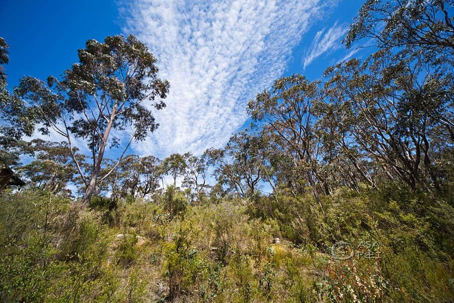 59 Delmonte Avenue, MEDLOW BATH NSW 2780, Medlow Bath - Thumbnail 6