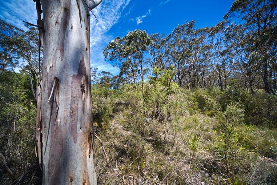 59 Delmonte Avenue, MEDLOW BATH NSW 2780, Medlow Bath - Thumbnail 7