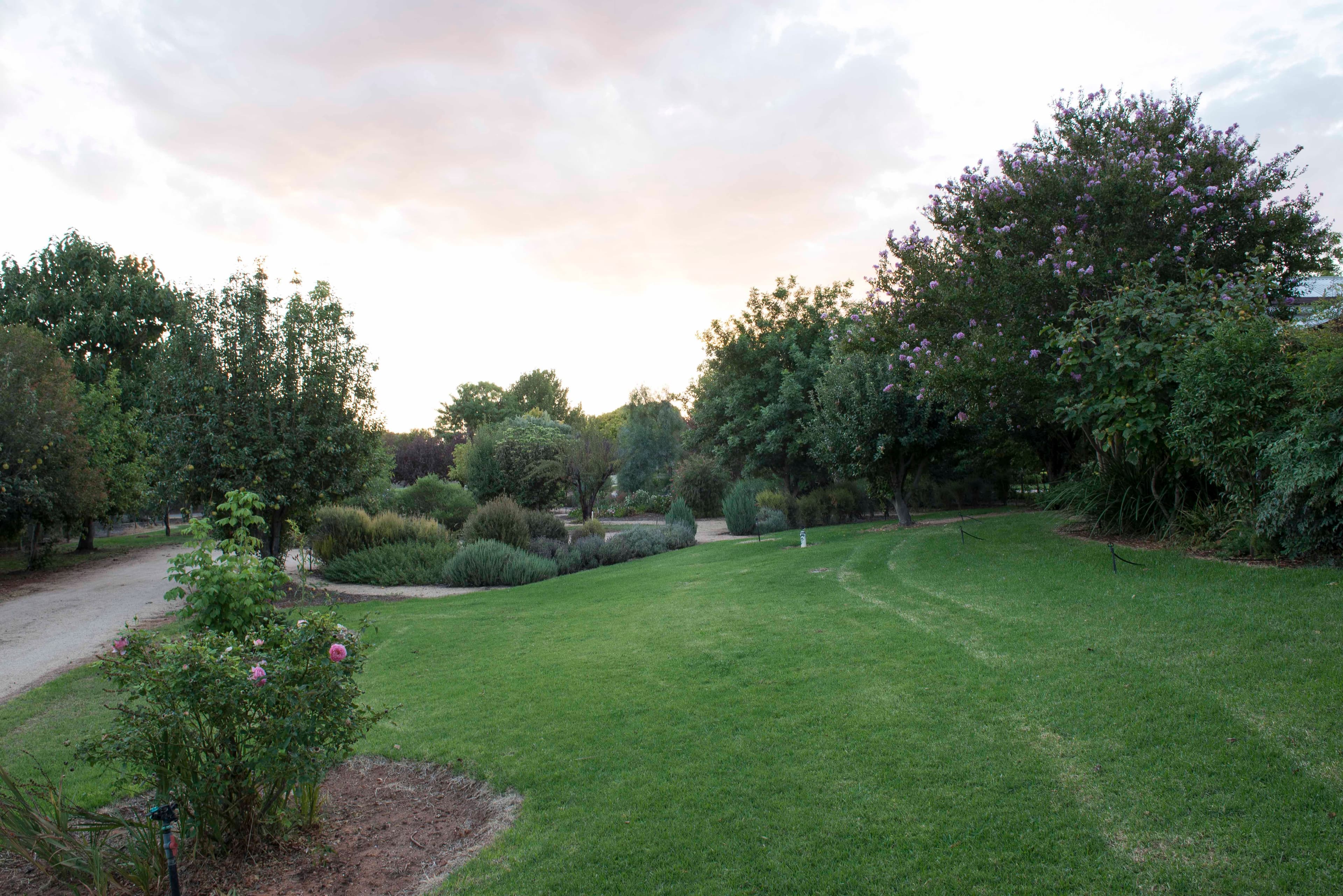 14 Konidaris Court, Berri SA 5343, Berri - Thumbnail 8