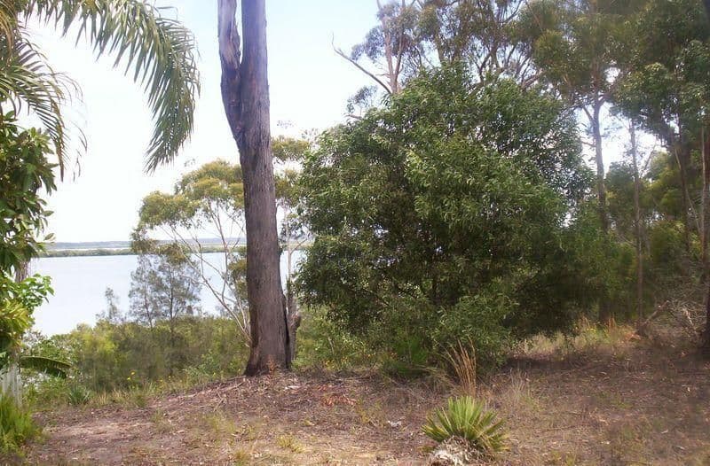 78 Deenya Parade, Russell Island QLD 4184, Russell Island - Thumbnail 2