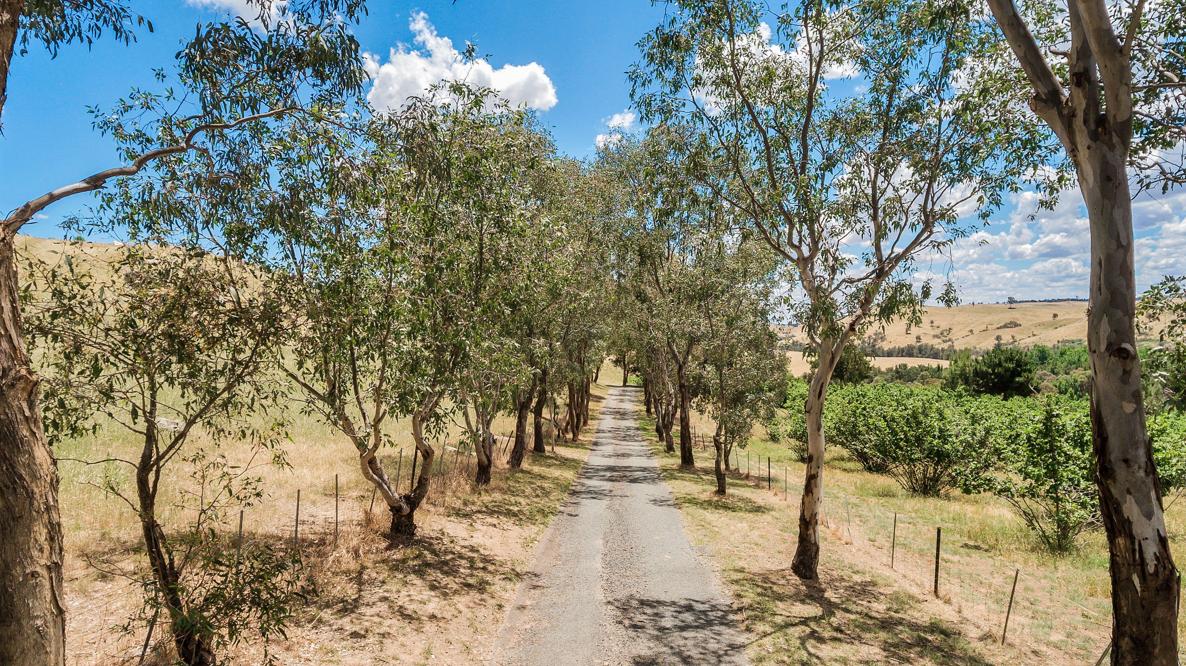 14 Soudan Road, West Footscray - Thumbnail 2