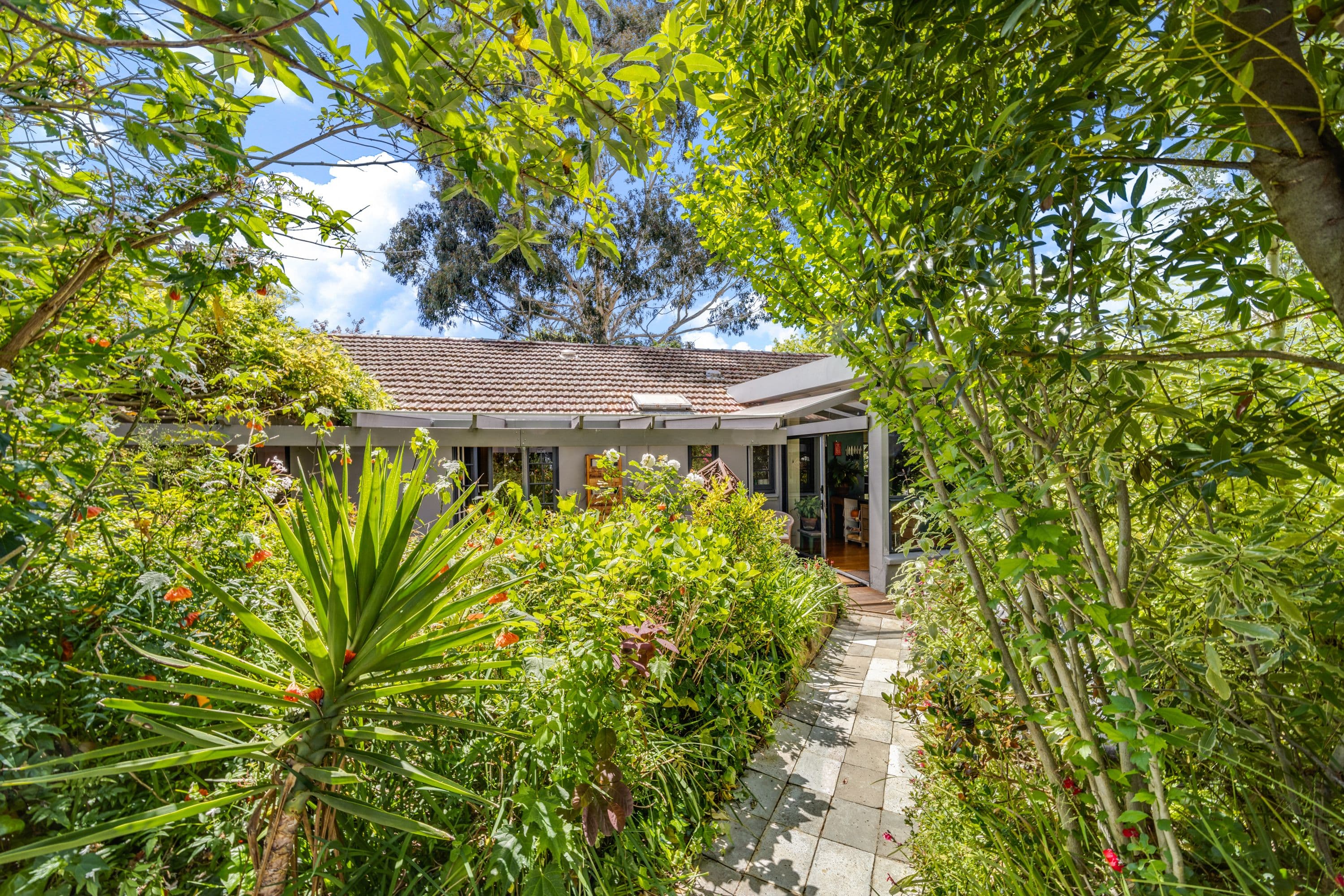 88A Boldrewood Street, Turner ACT 2612, Turner - Thumbnail 2