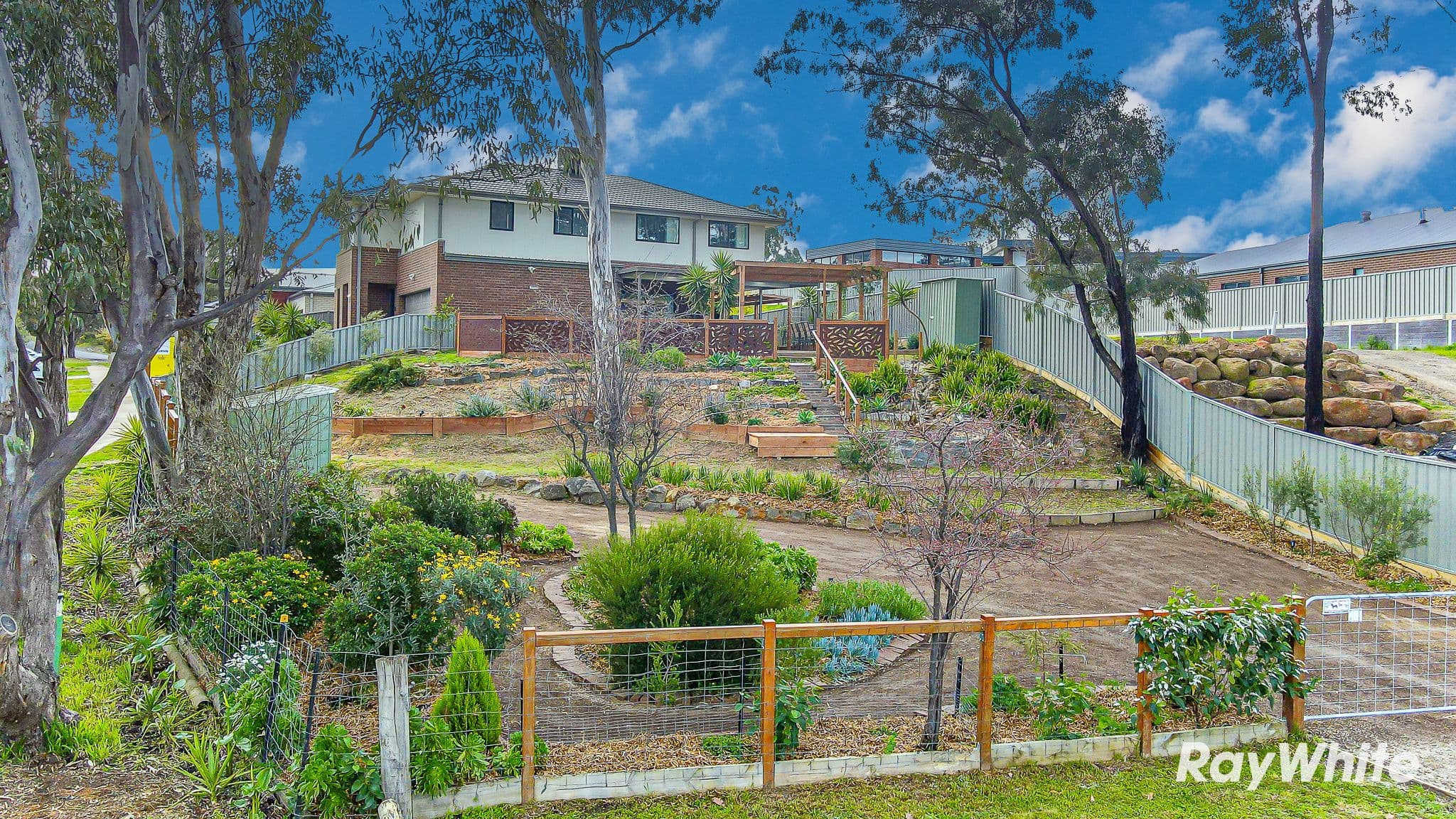 62 Scott Street, White Hills VIC 3550, White Hills - Thumbnail 2