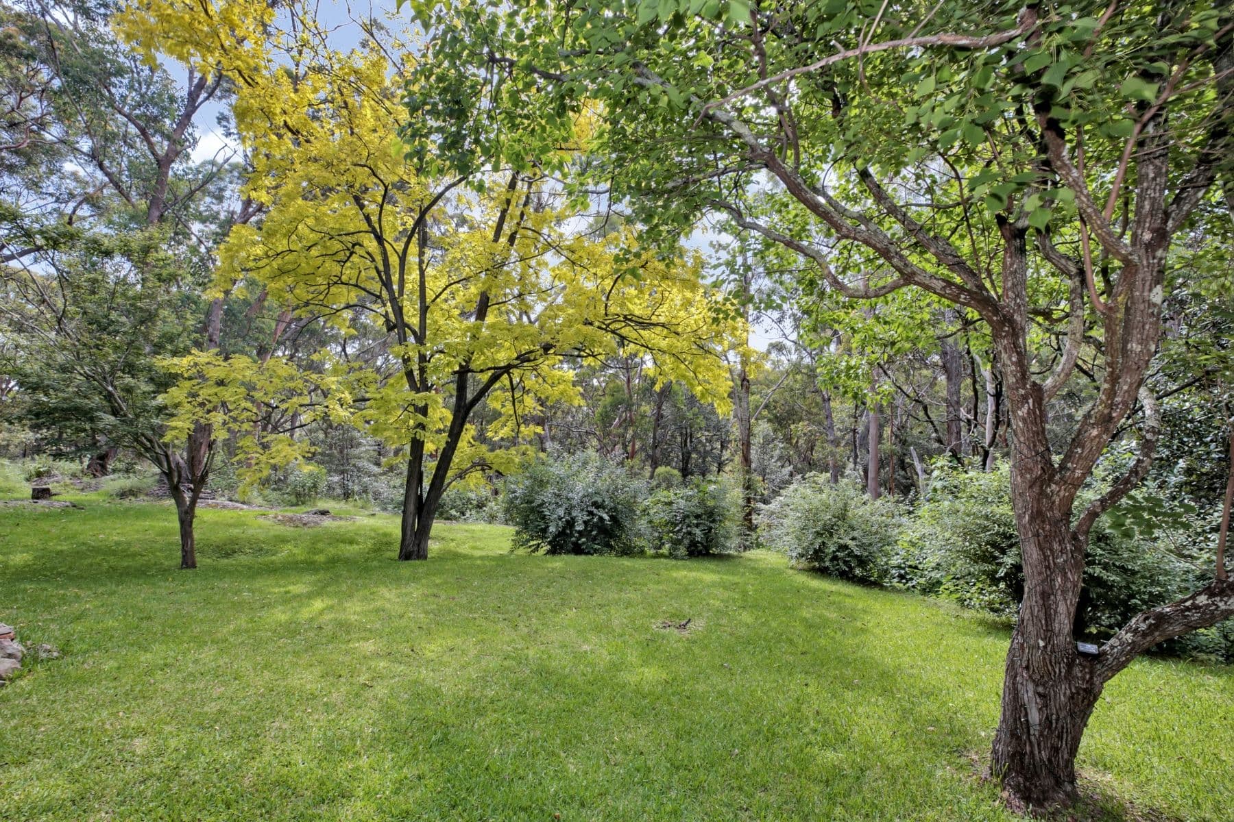 332 Great Western Highway, Warrimoo NSW 2774, Warrimoo - Thumbnail 3