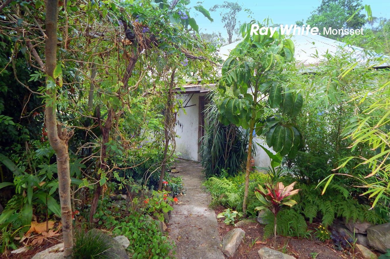 471 Freemans Drive, Cooranbong - Thumbnail 2