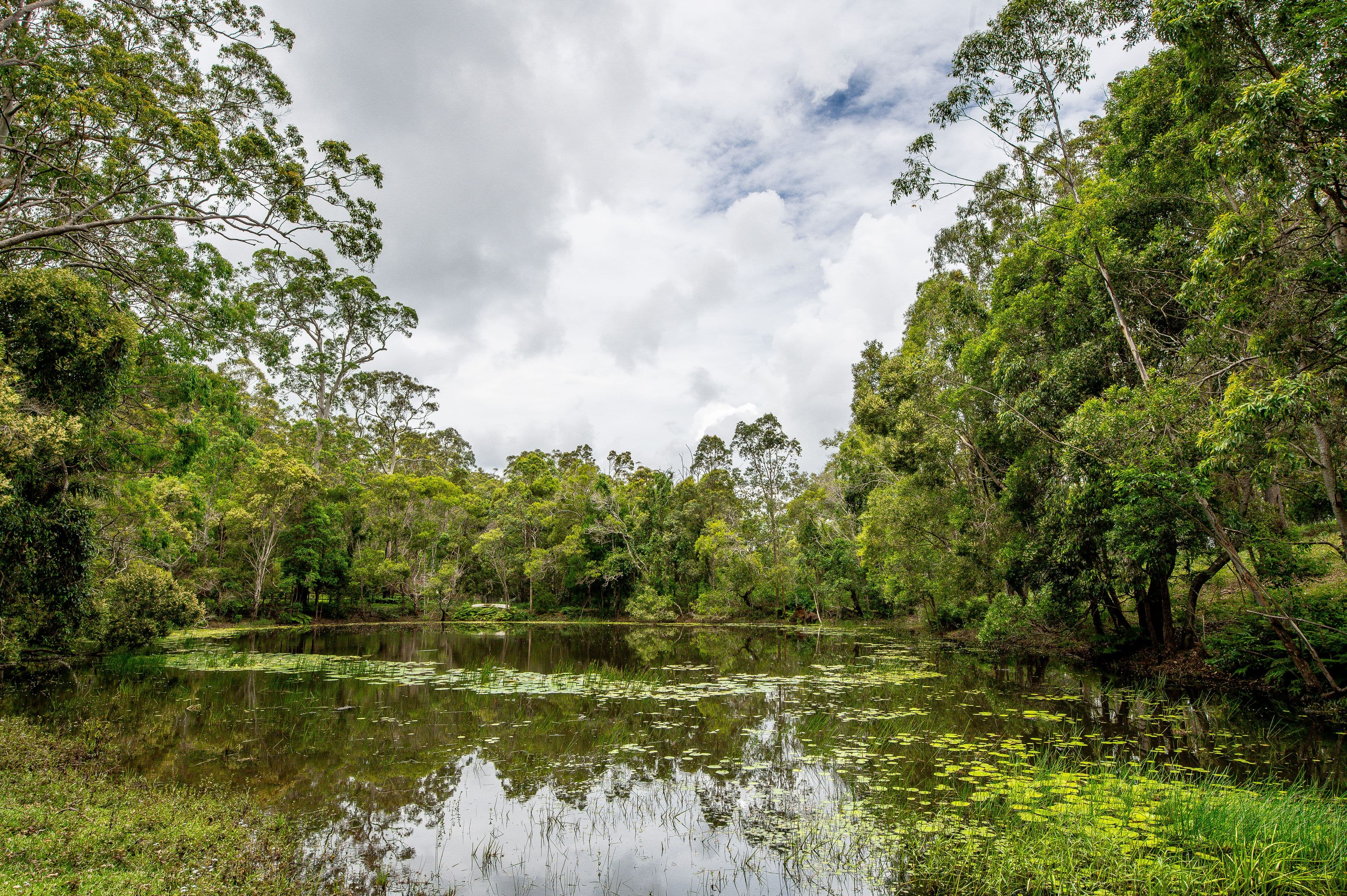 34 Robinson Road South, Ocean View QLD 4521, Ocean View - Thumbnail 5