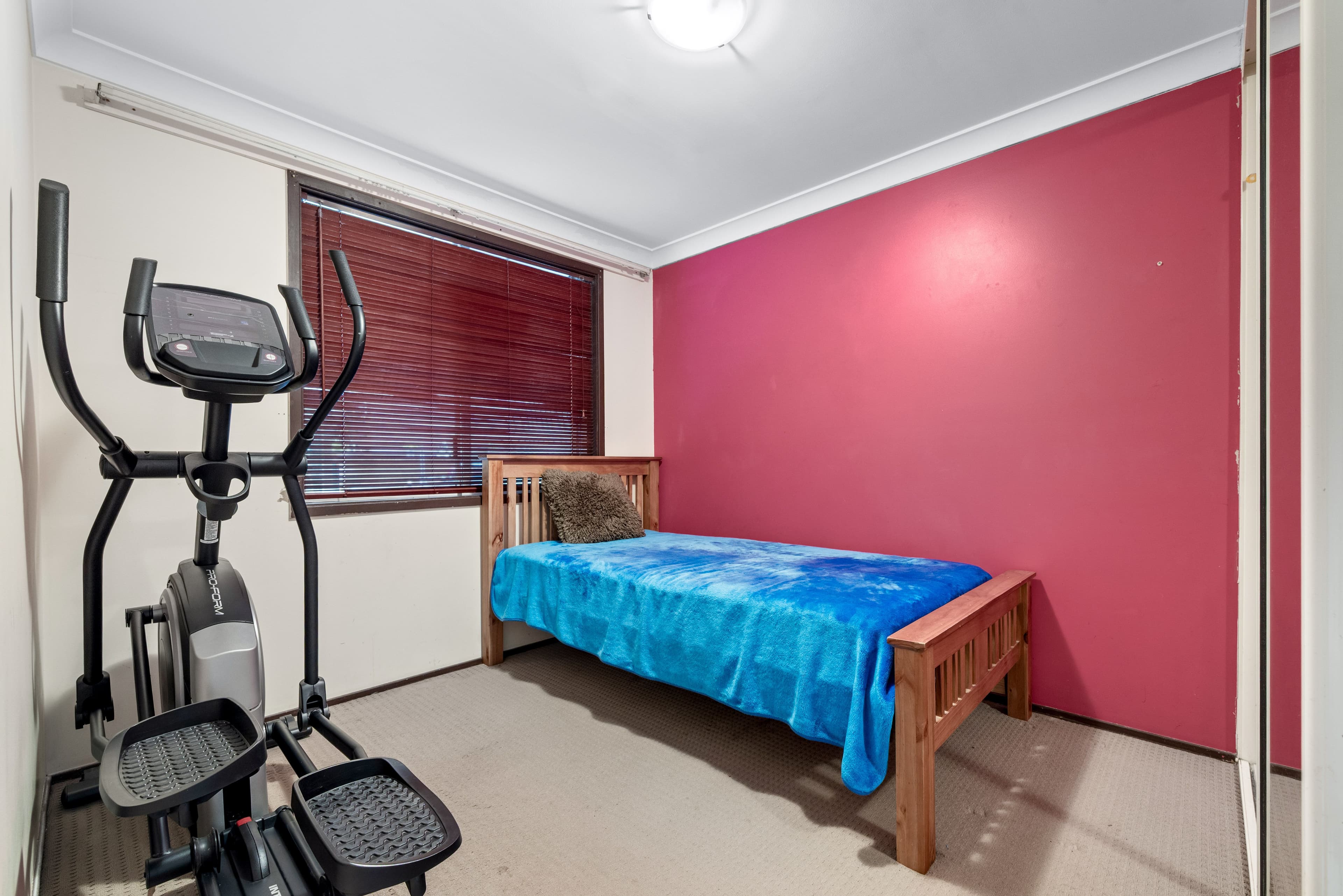 12 Morgan Street, Ingleburn NSW 2565, Ingleburn - Thumbnail 8
