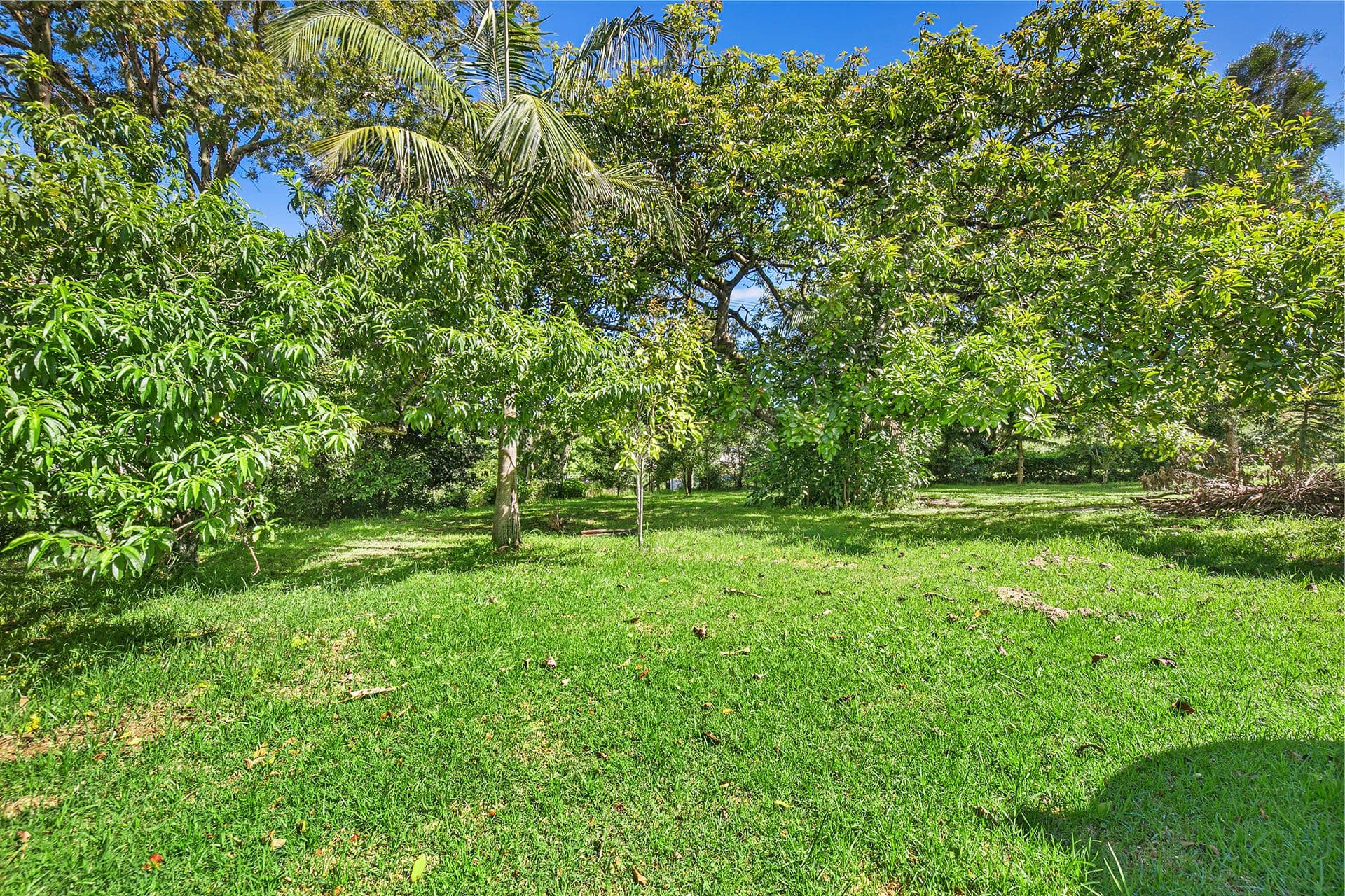 29 Sequoia Drive, Tamborine Mountain QLD 4272, Tamborine Mountain - Thumbnail 5
