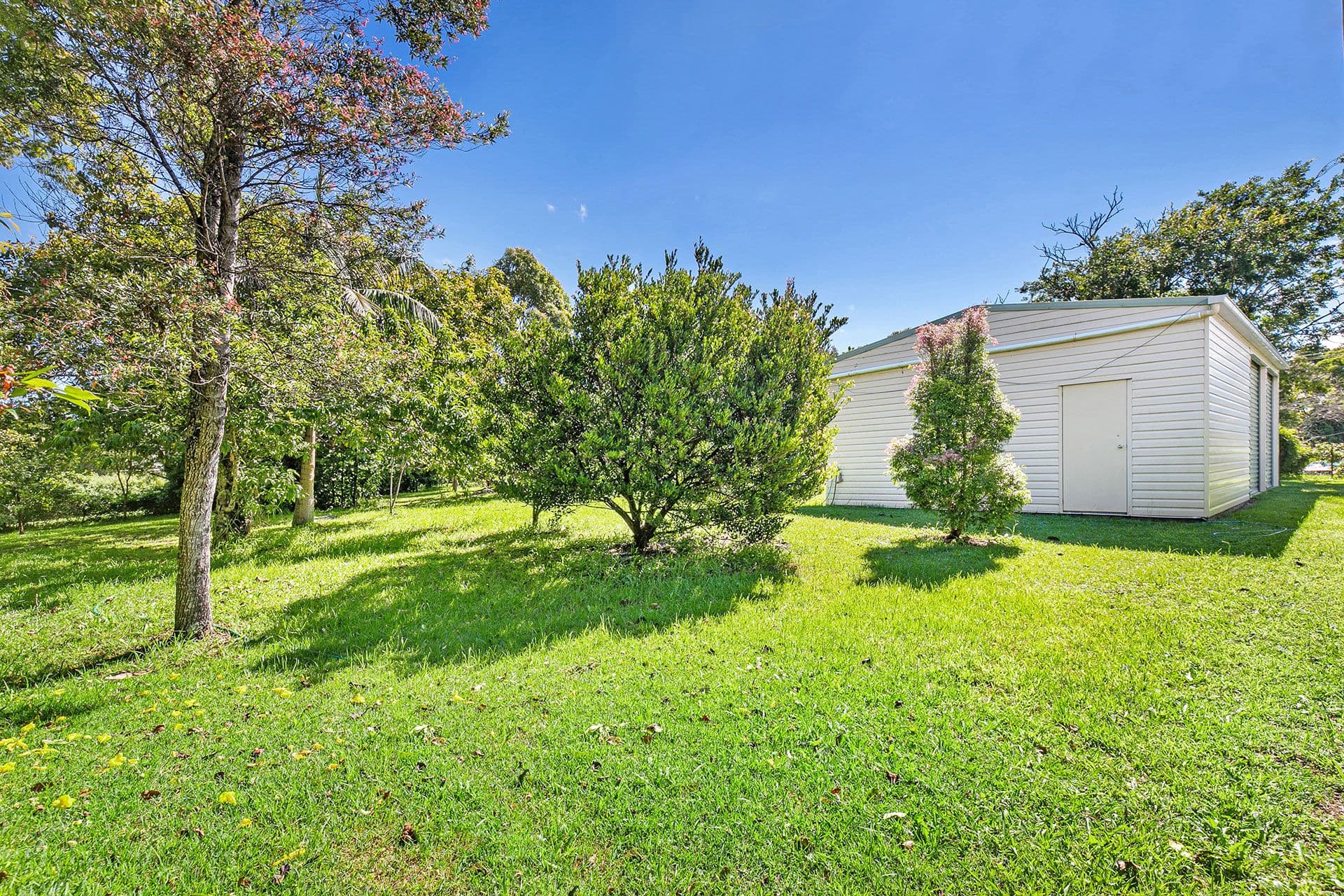 29 Sequoia Drive, Tamborine Mountain QLD 4272, Tamborine Mountain - Thumbnail 6