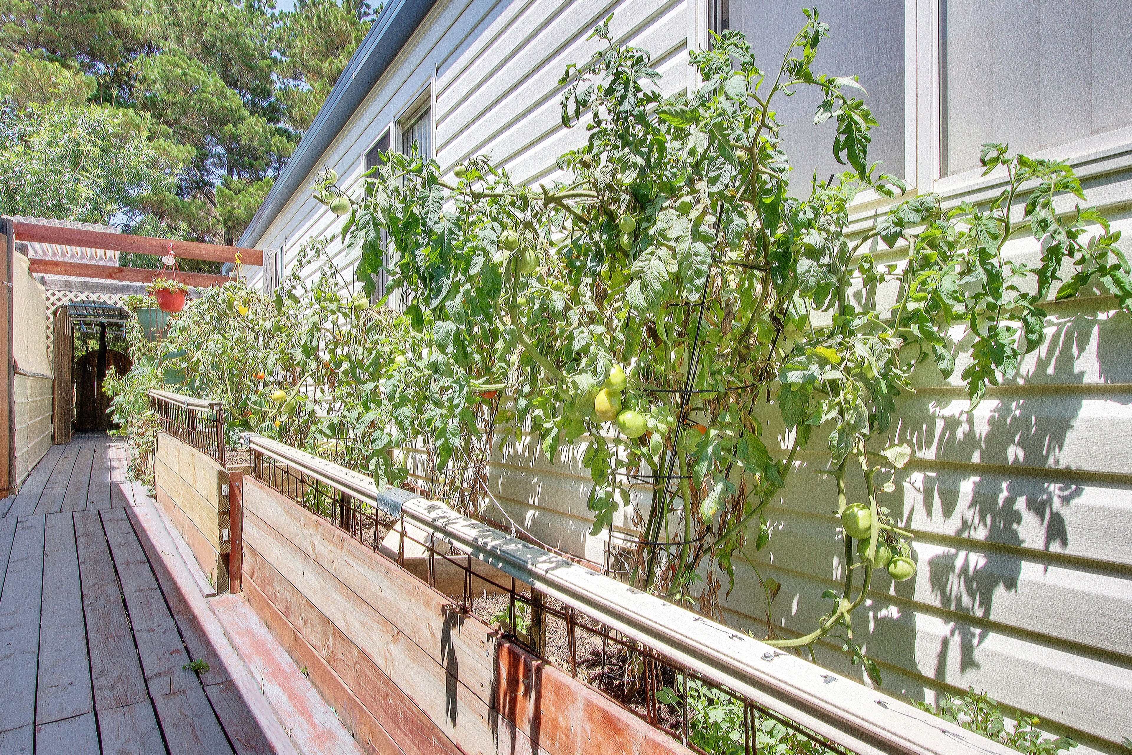 149 Hume Street, Goulburn - Thumbnail 6