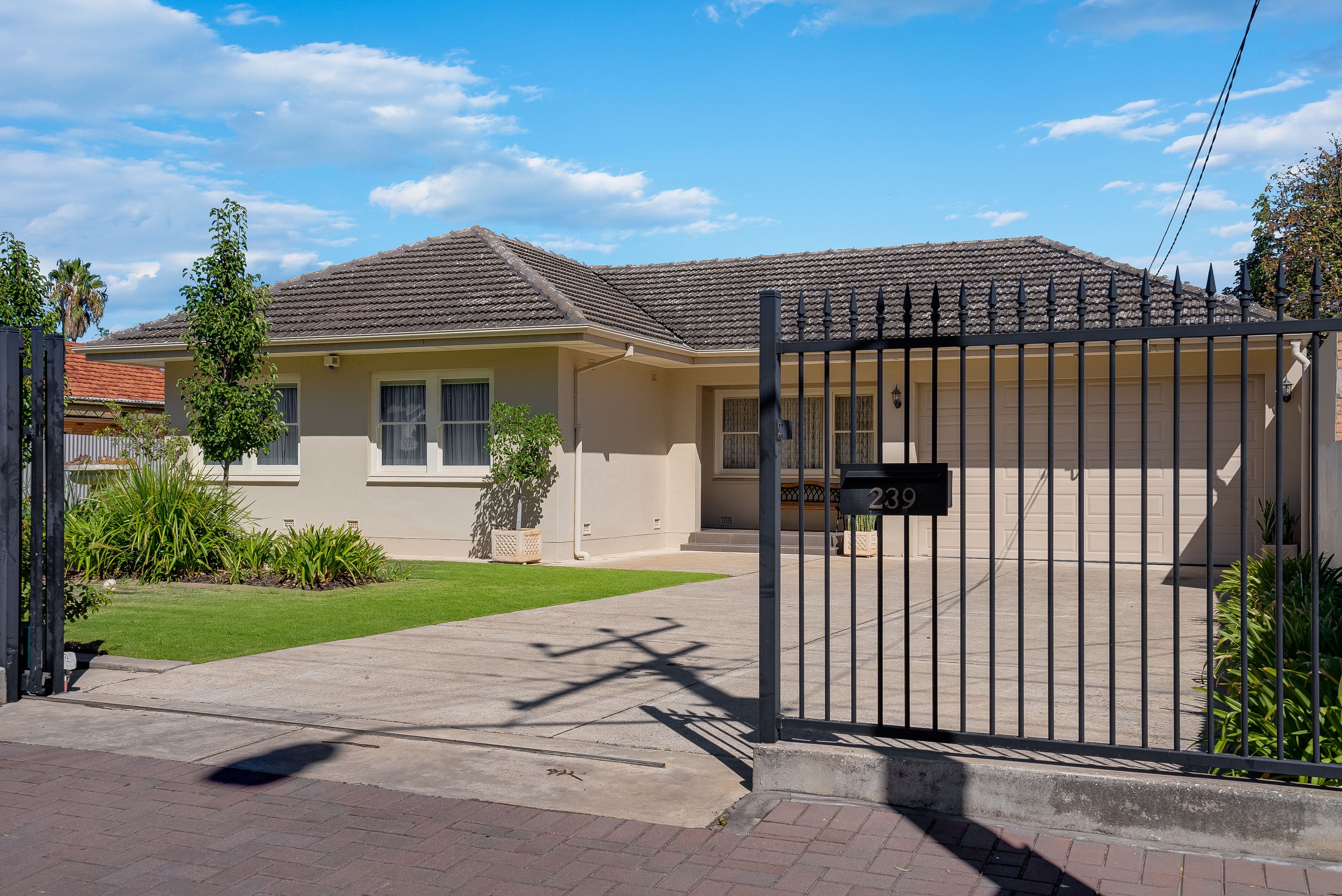 239 Glynburn Road, St Morris SA 5068, St Morris - Thumbnail 3