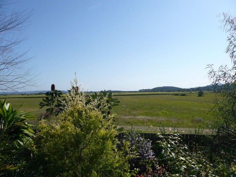 1 Hudson Place, BLI BLI QLD 4560, Bli Bli - Thumbnail 2