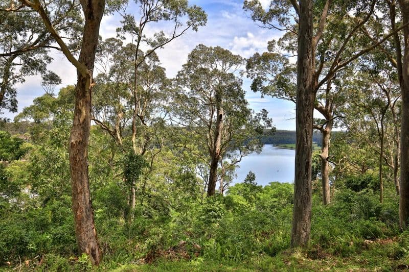 23 Coorong Road, North Nowra - Thumbnail 5