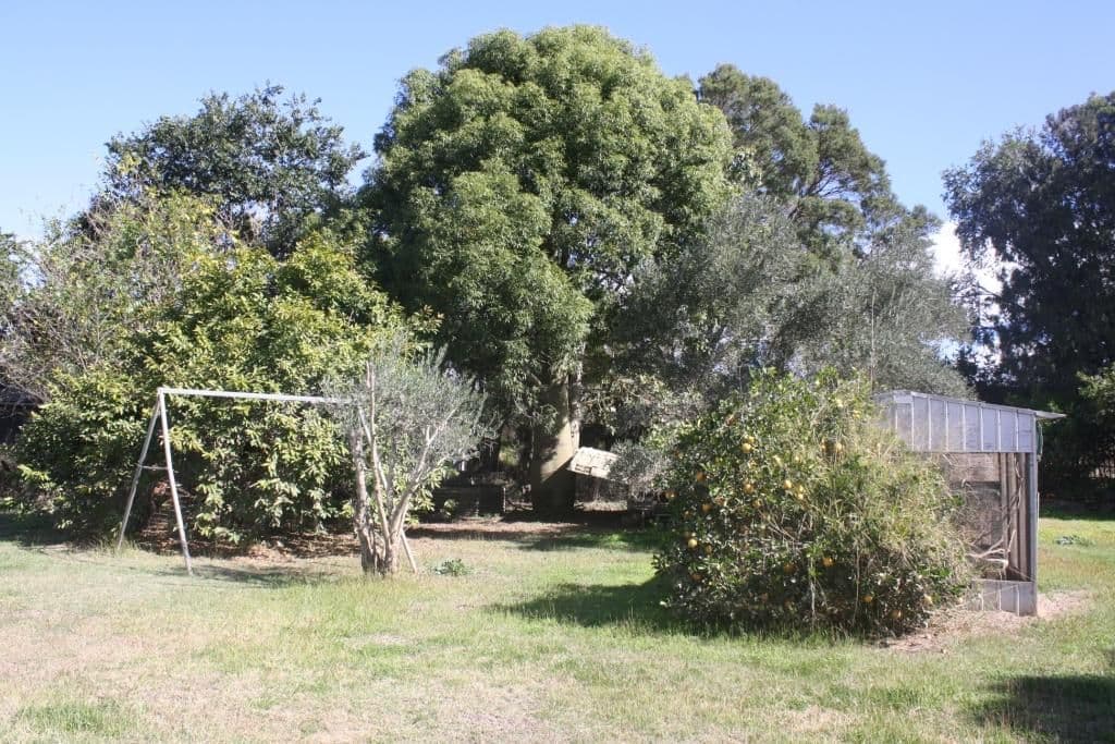 16 Stuart-Russell Street, MUNDUBBERA QLD 4626, Mundubbera - Thumbnail 6