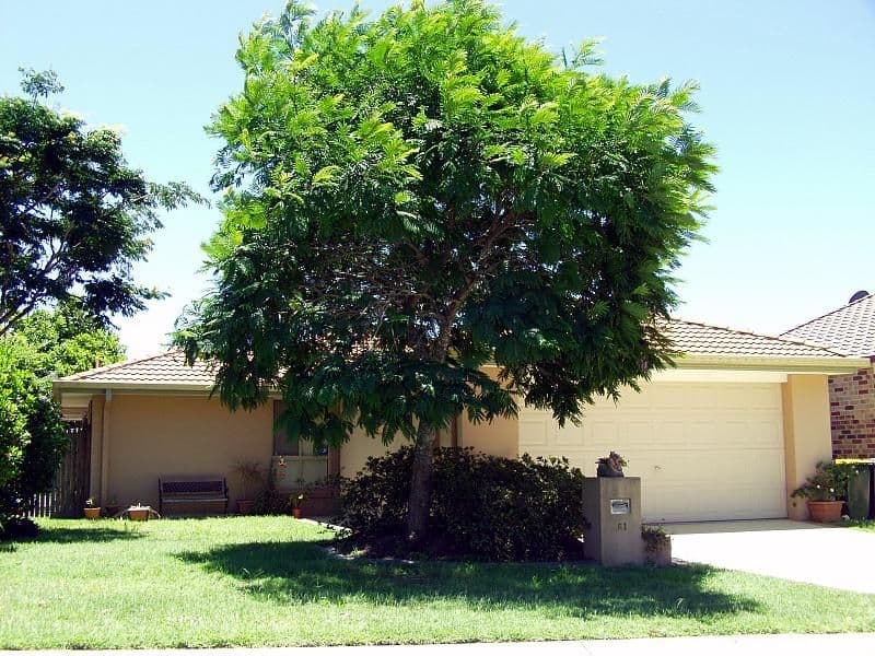 51 Shelduck Place, CALAMVALE QLD 4116, Calamvale - Thumbnail 8