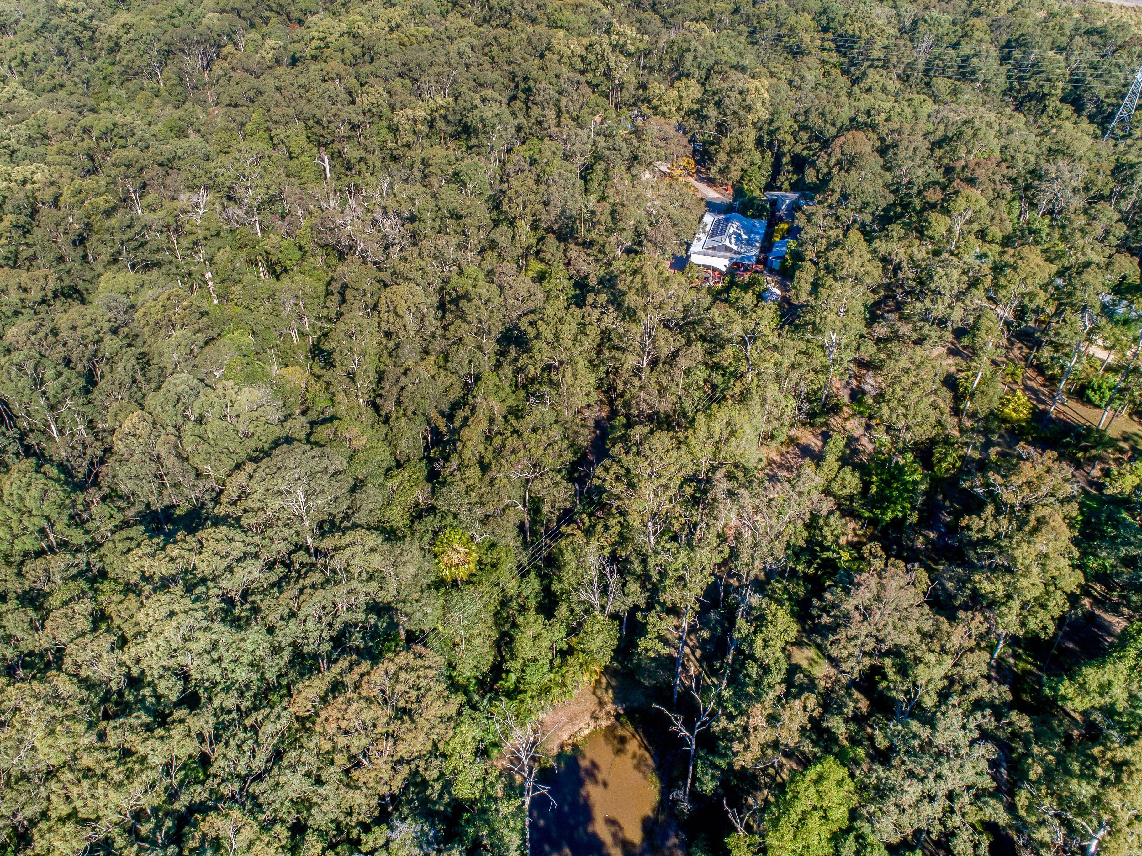 76 Cunning Road, Tanawha QLD 4556, Tanawha - Thumbnail 2