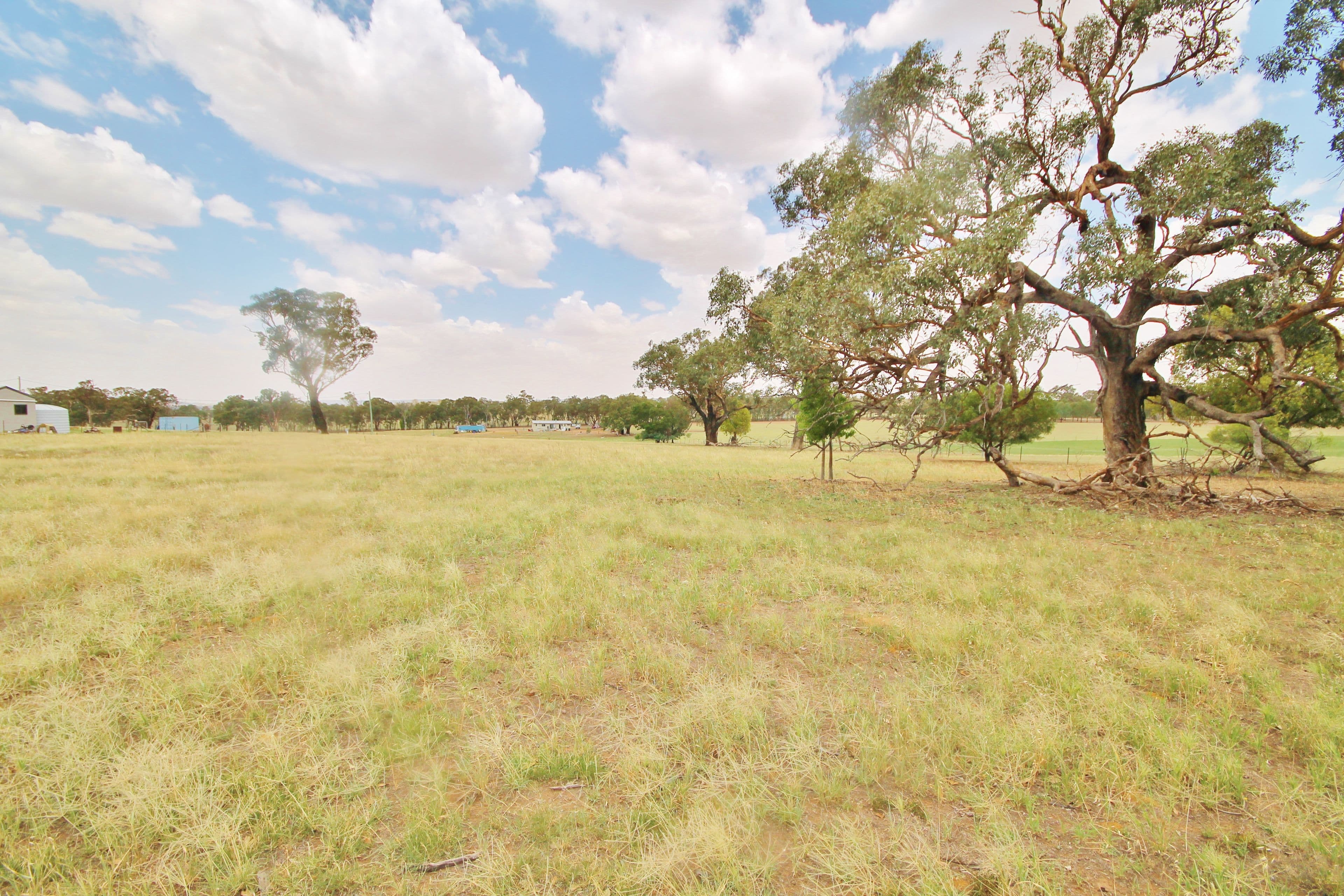 45 McGee Place, Murringo Via, Young NSW 2594, Young - Thumbnail 2