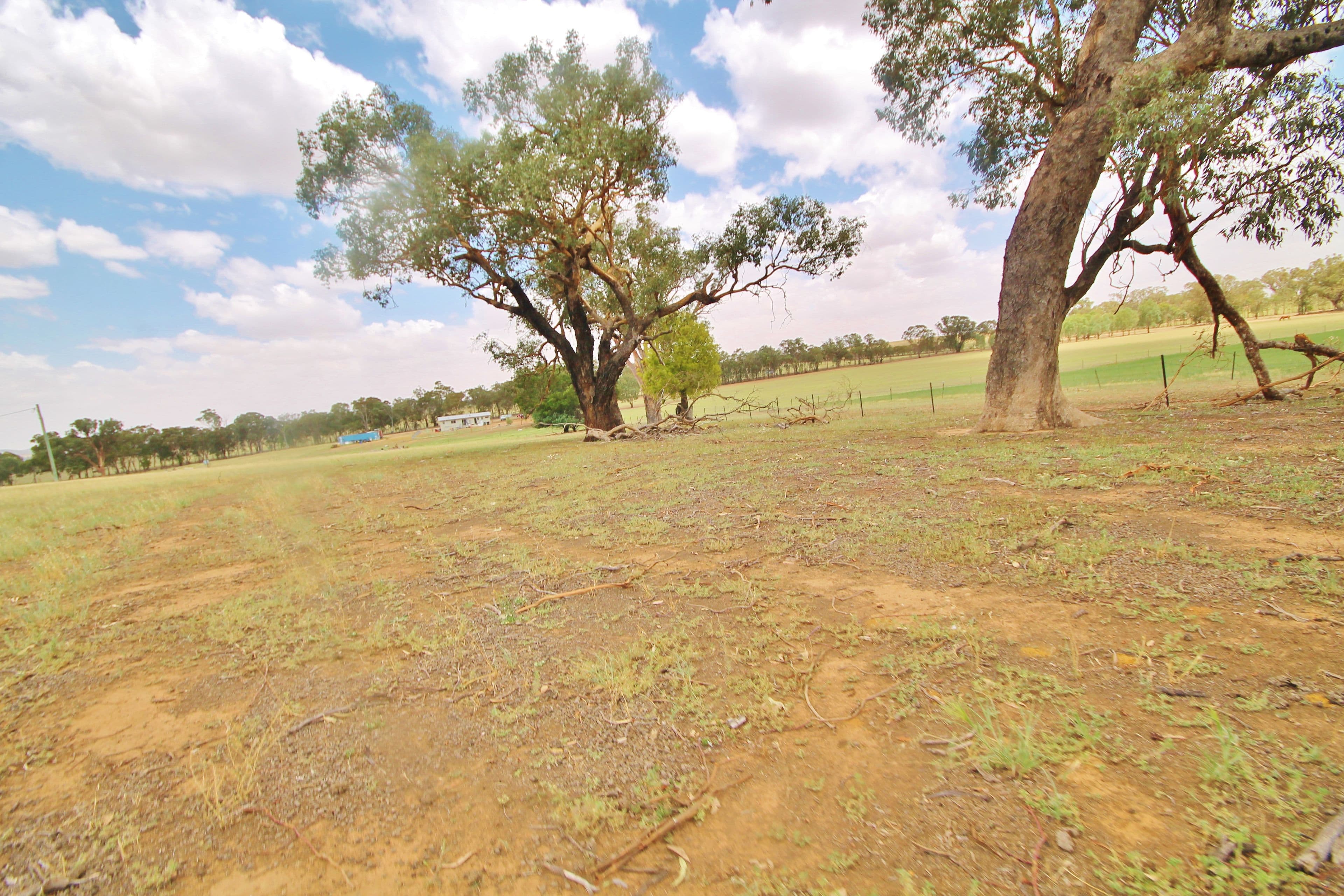 45 McGee Place, Murringo Via, Young NSW 2594, Young - Thumbnail 3