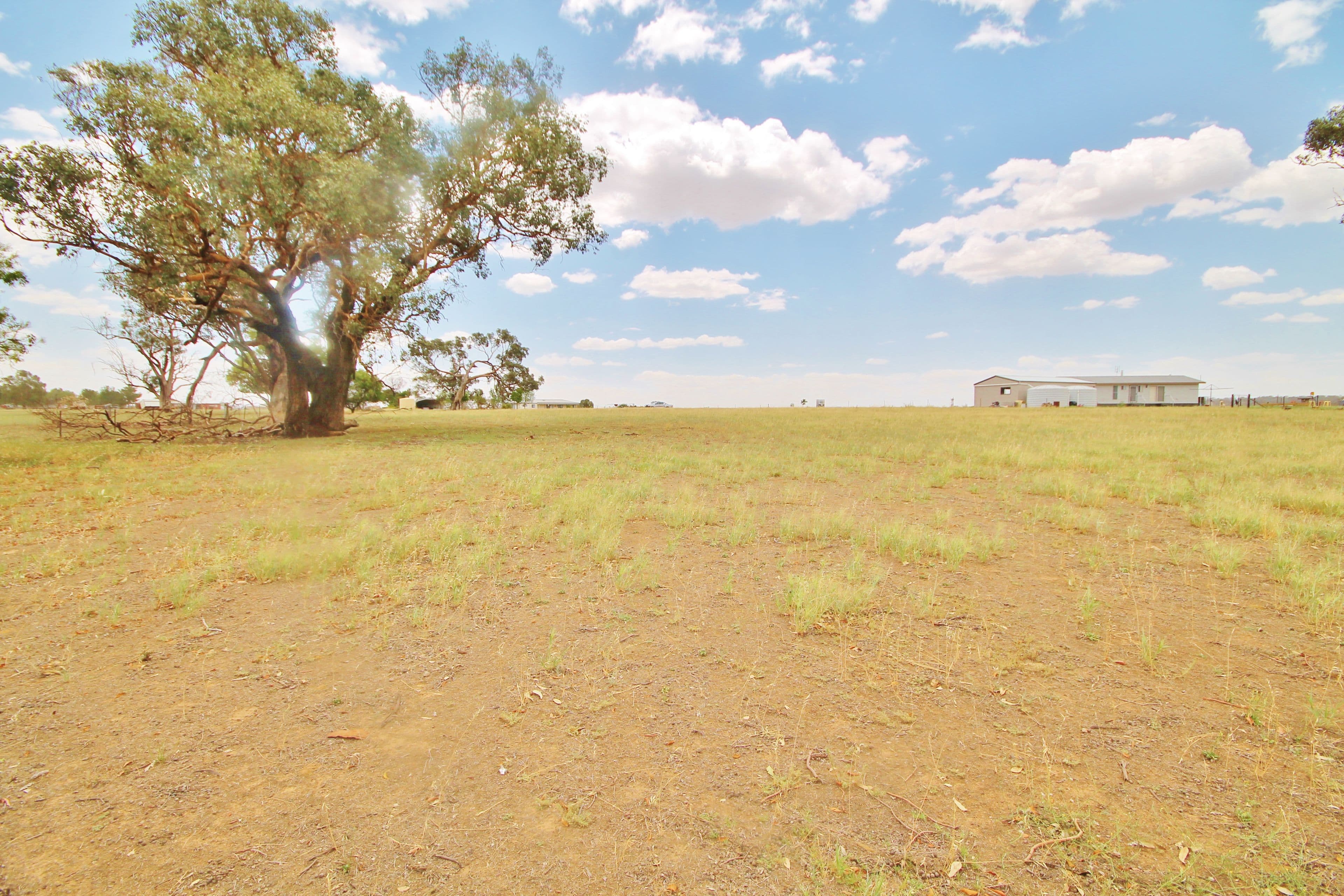 45 McGee Place, Murringo Via, Young NSW 2594, Young - Thumbnail 4