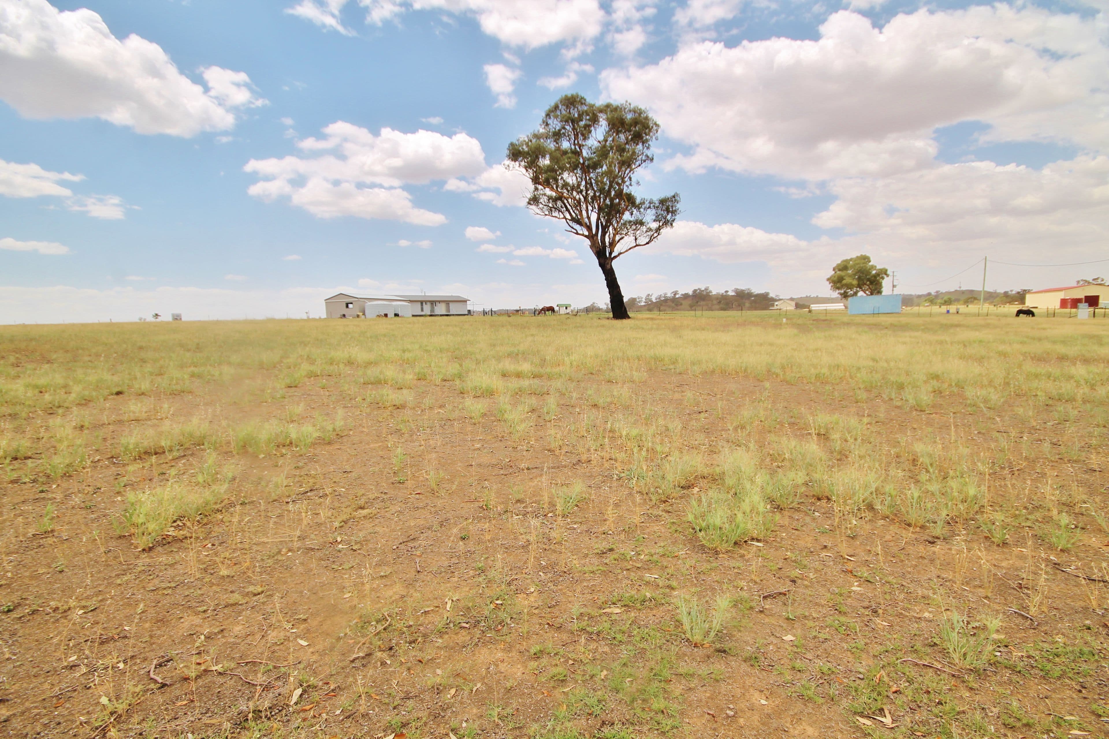 45 McGee Place, Murringo Via, Young NSW 2594, Young - Thumbnail 5