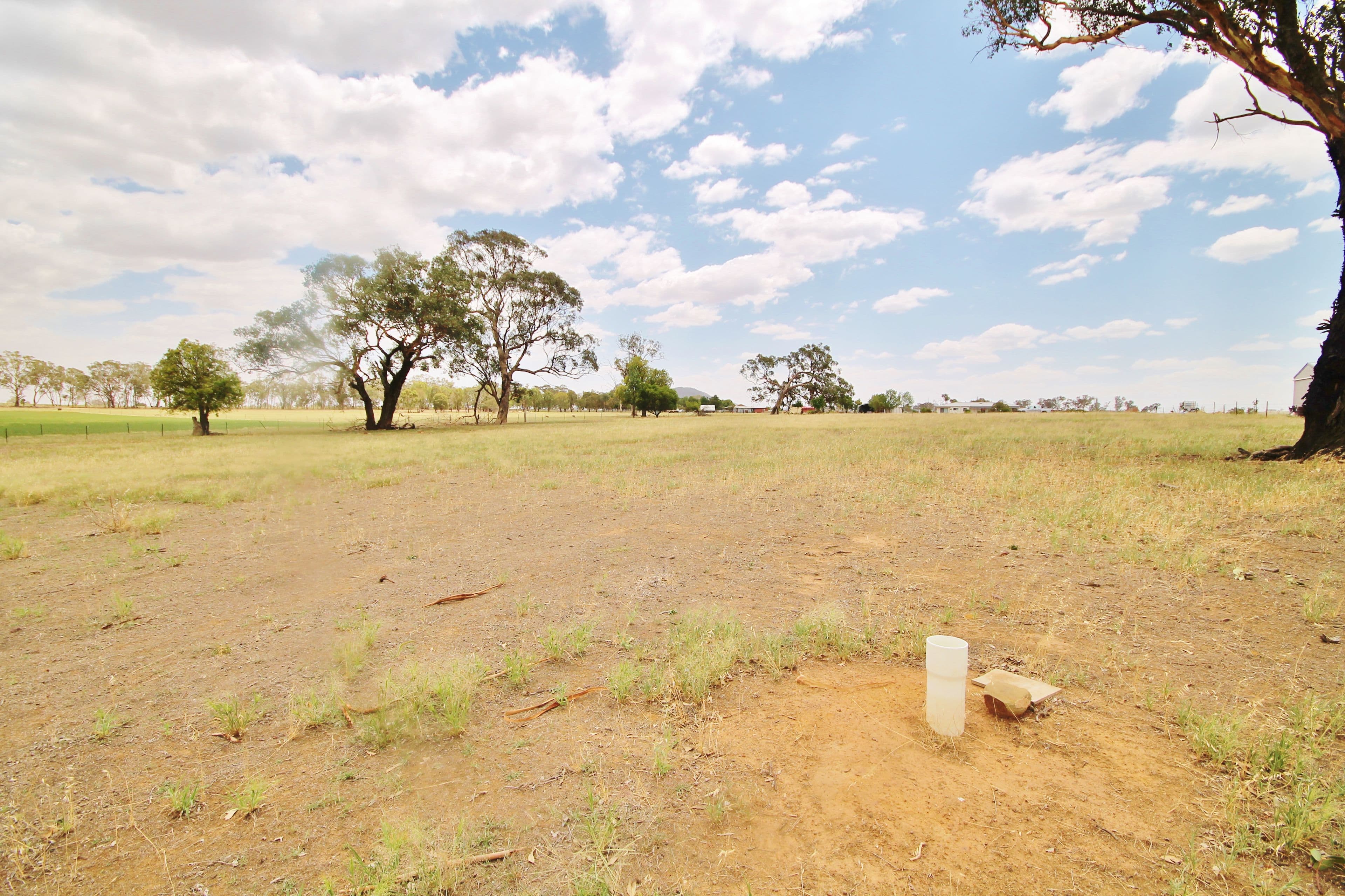 45 McGee Place, Murringo Via, Young NSW 2594, Young - Thumbnail 6